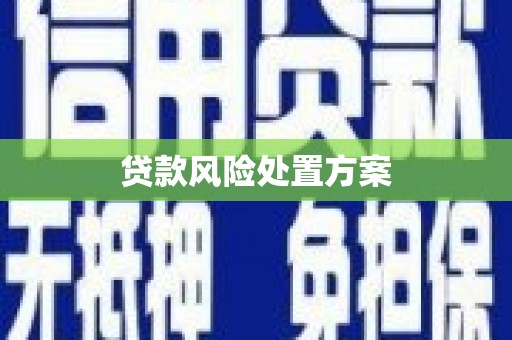 兴业贷款风险处置方案