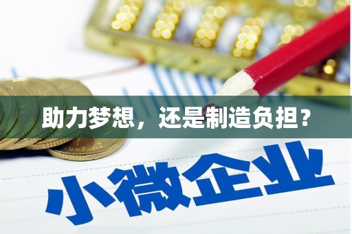 兴业助力梦想，还是制造负担？