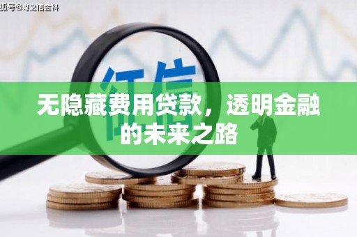兴业无隐藏费用贷款，透明金融的未来之路