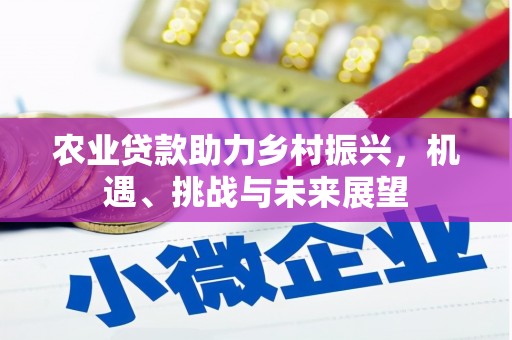 兴业农业贷款助力乡村振兴，机遇、挑战与未来展望