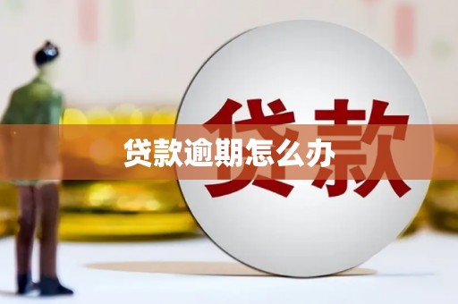 兴业贷款逾期怎么办