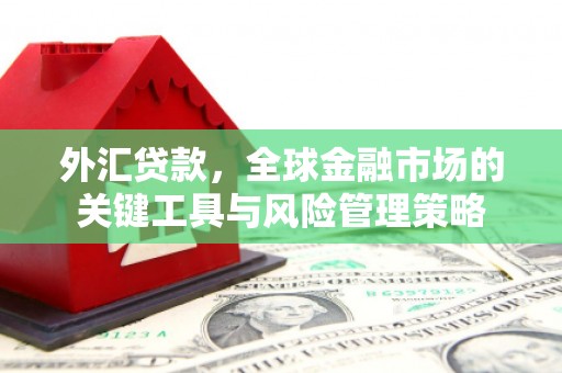 兴业外汇贷款，全球金融市场的关键工具与风险管理策略
