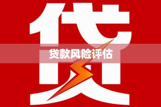 兴业贷款风险评估