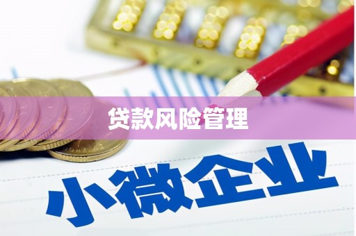 兴业贷款风险管理