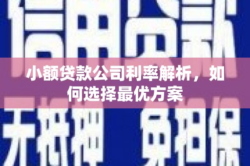 兴业小额贷款公司利率解析，如何选择最优方案