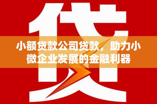 兴业小额贷款公司贷款，助力小微企业发展的金融利器
