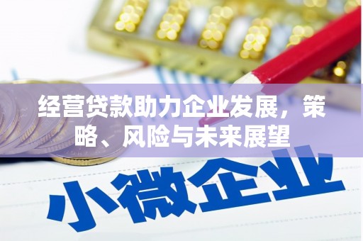 兴业经营贷款助力企业发展，策略、风险与未来展望
