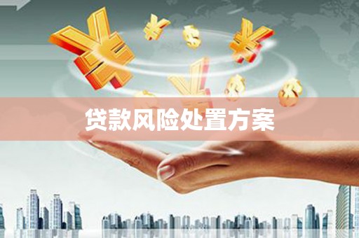 兴业贷款风险处置方案
