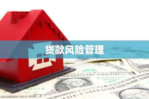 兴业贷款风险管理