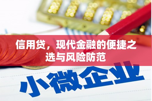 兴业信用贷，现代金融的便捷之选与风险防范