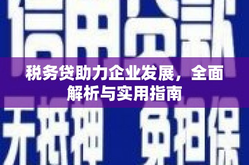 兴业税务贷助力企业发展，全面解析与实用指南